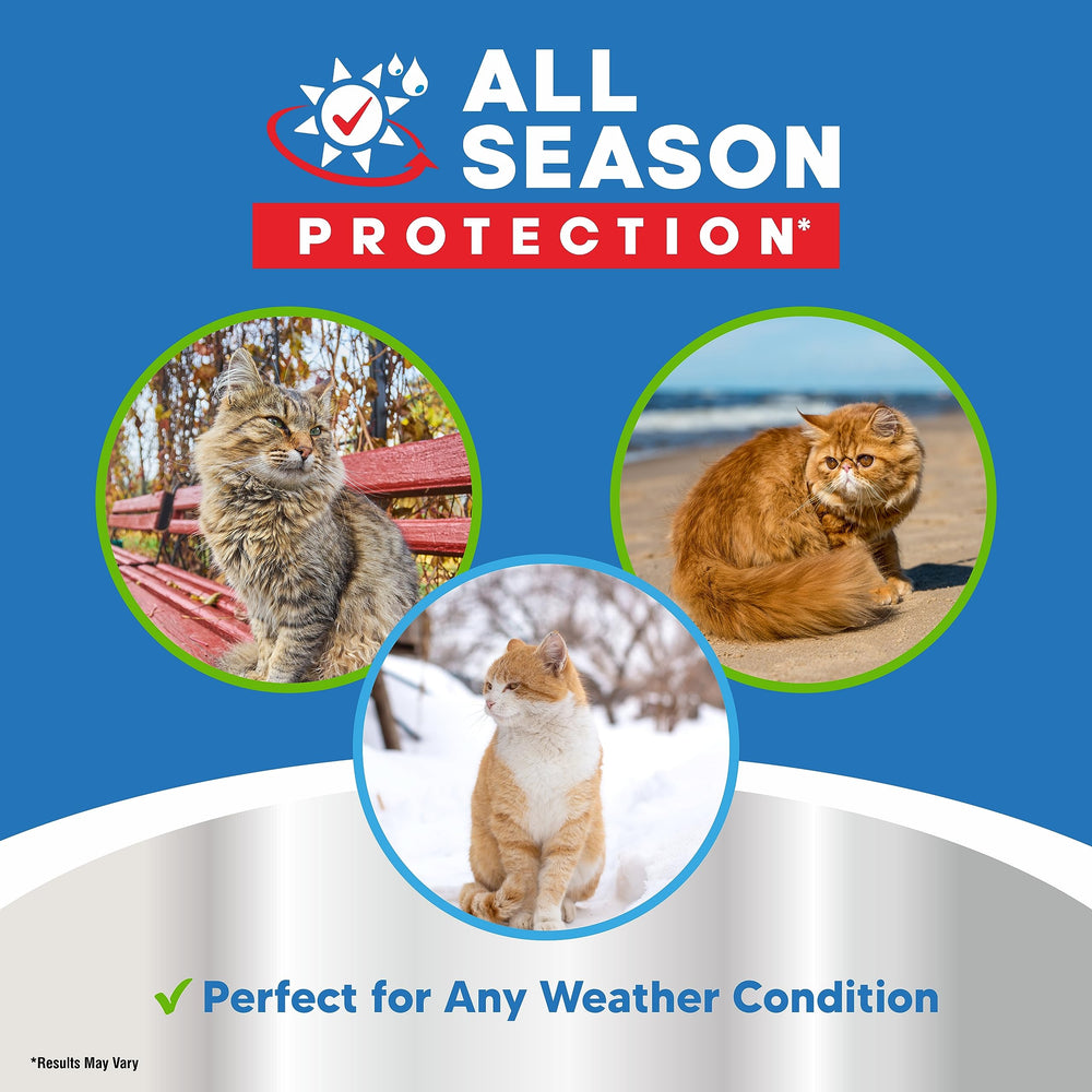 Planopaws baume-pattes-chat protection quotidienne - idéal par tous les temps.