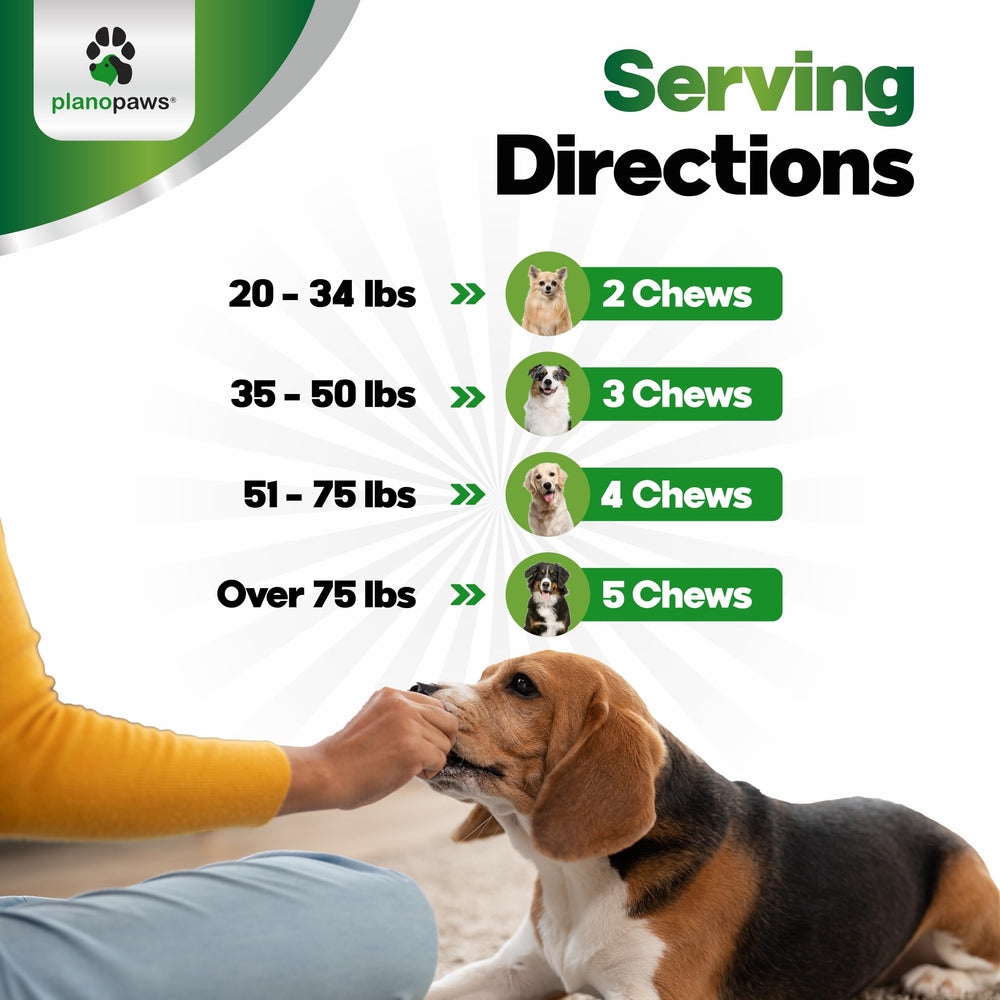 Planopaws Probiotiques Chiens — formule véto nutritionniste, enzymes aidantes