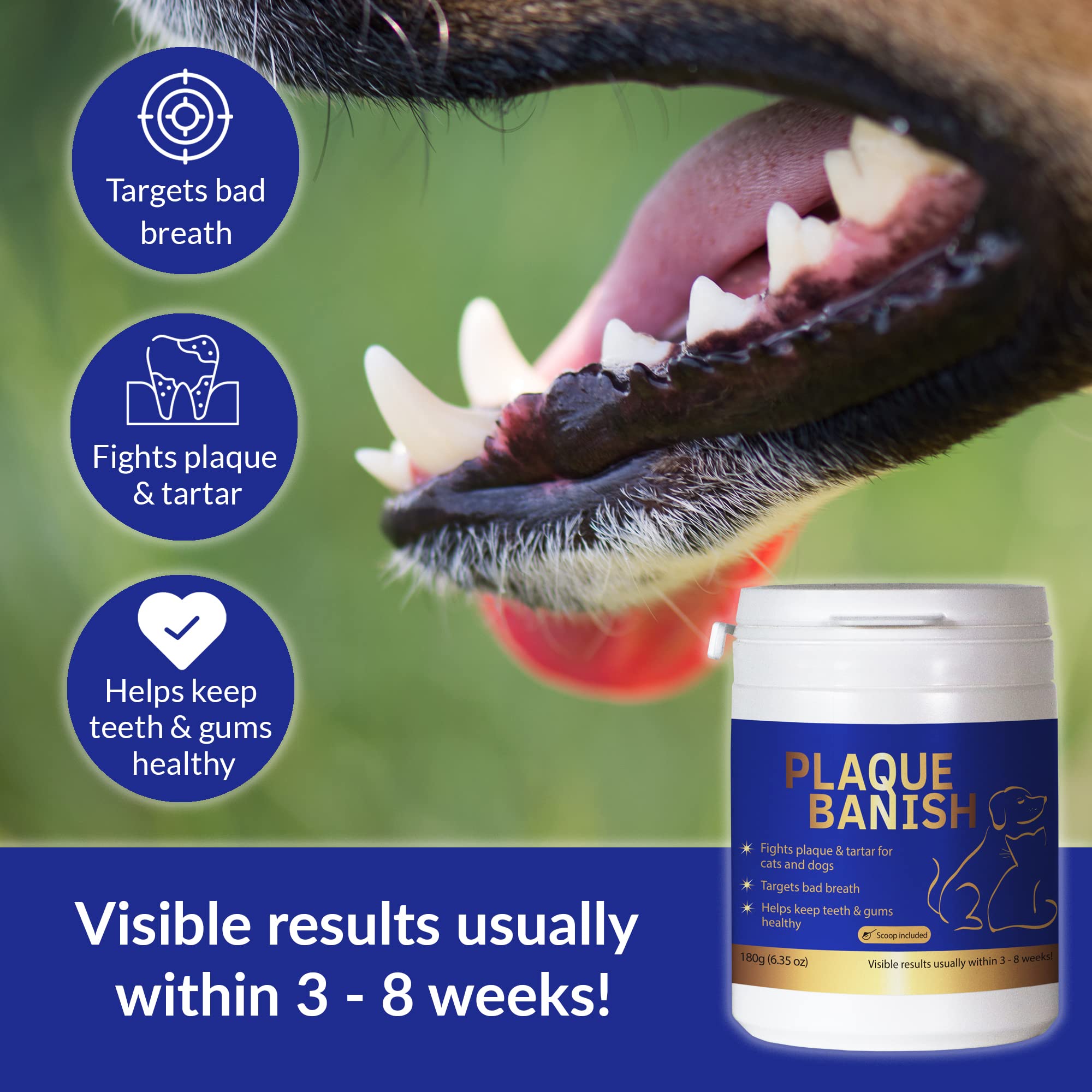 Plaque Banish favorise des dents saines et gencives confortables.