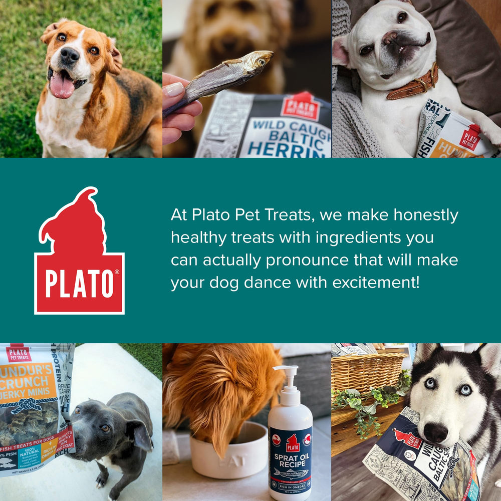 Plato-friandise-entrainement-chien : récompense idéale lors de l'entraînement.