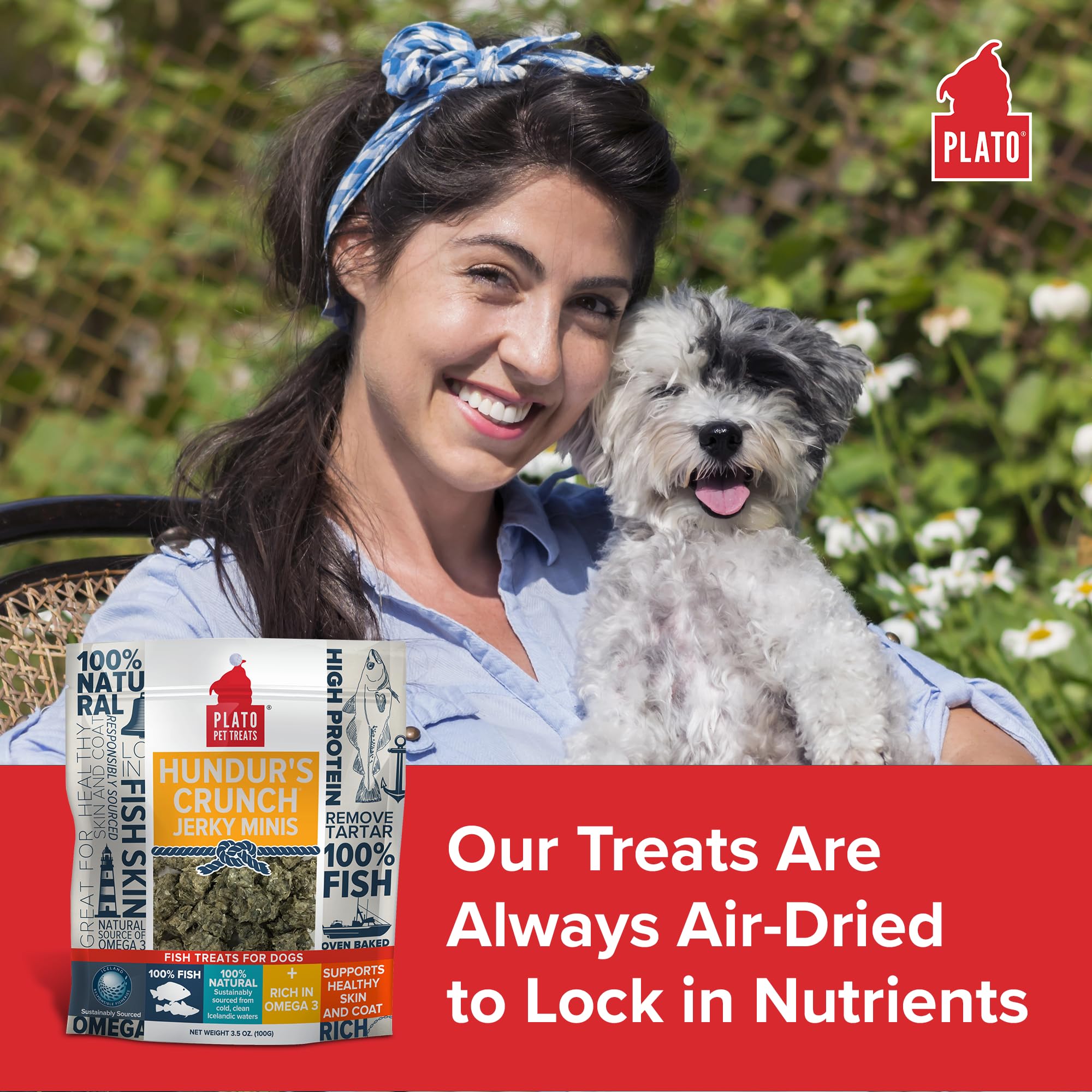 PLATO Hundur’s Crunch Jerky Minis – chien en train de mâcher avec plaisir.