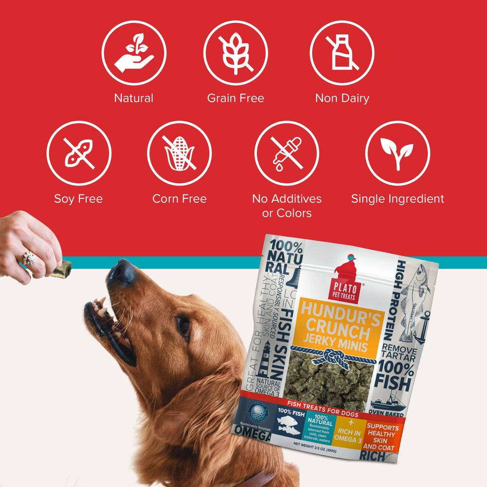 PLATO Hundur’s Crunch Jerky Minis – sans céréales et sans artificiels.