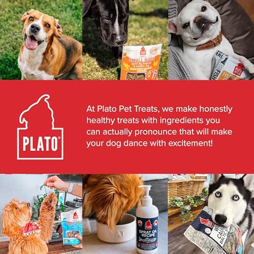 PLATO récompense quotidienne – gâterie saine pour chiens.