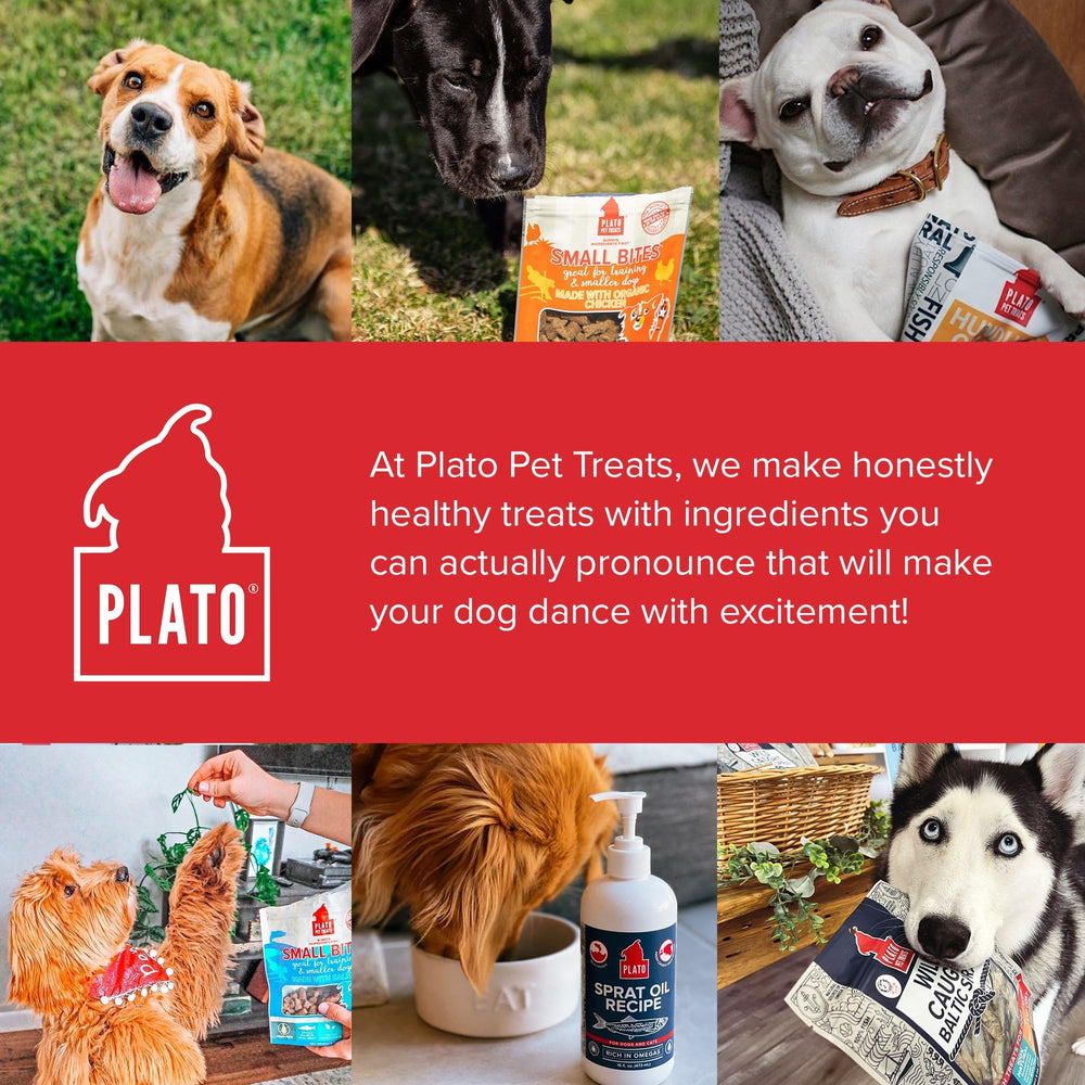 PLATO absence de colorants artificiels, saveur naturelle d'agneau, traçabilité
