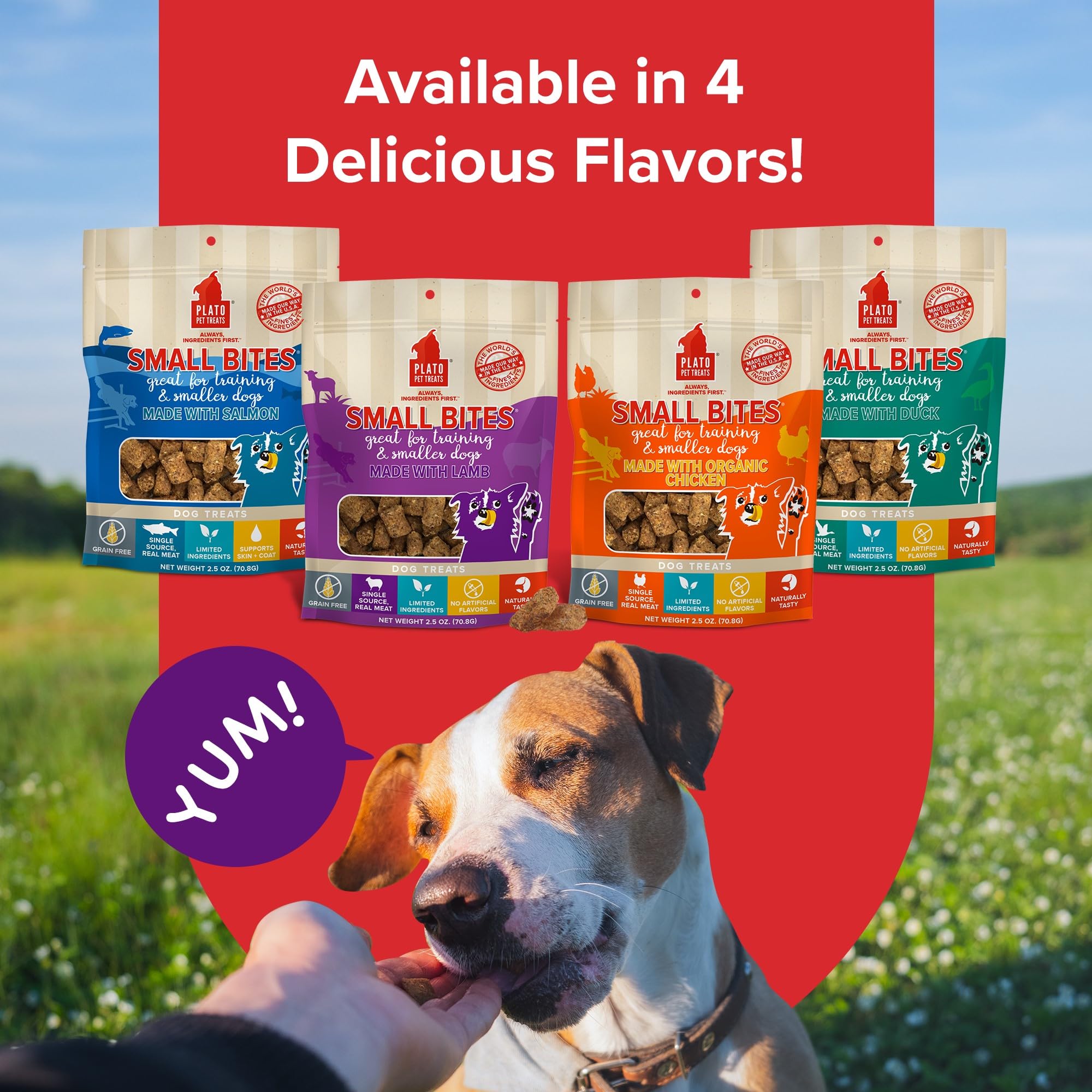 PLATO texture moelleuse, bouchées faciles à digérer, idéal pour chiens sensibles