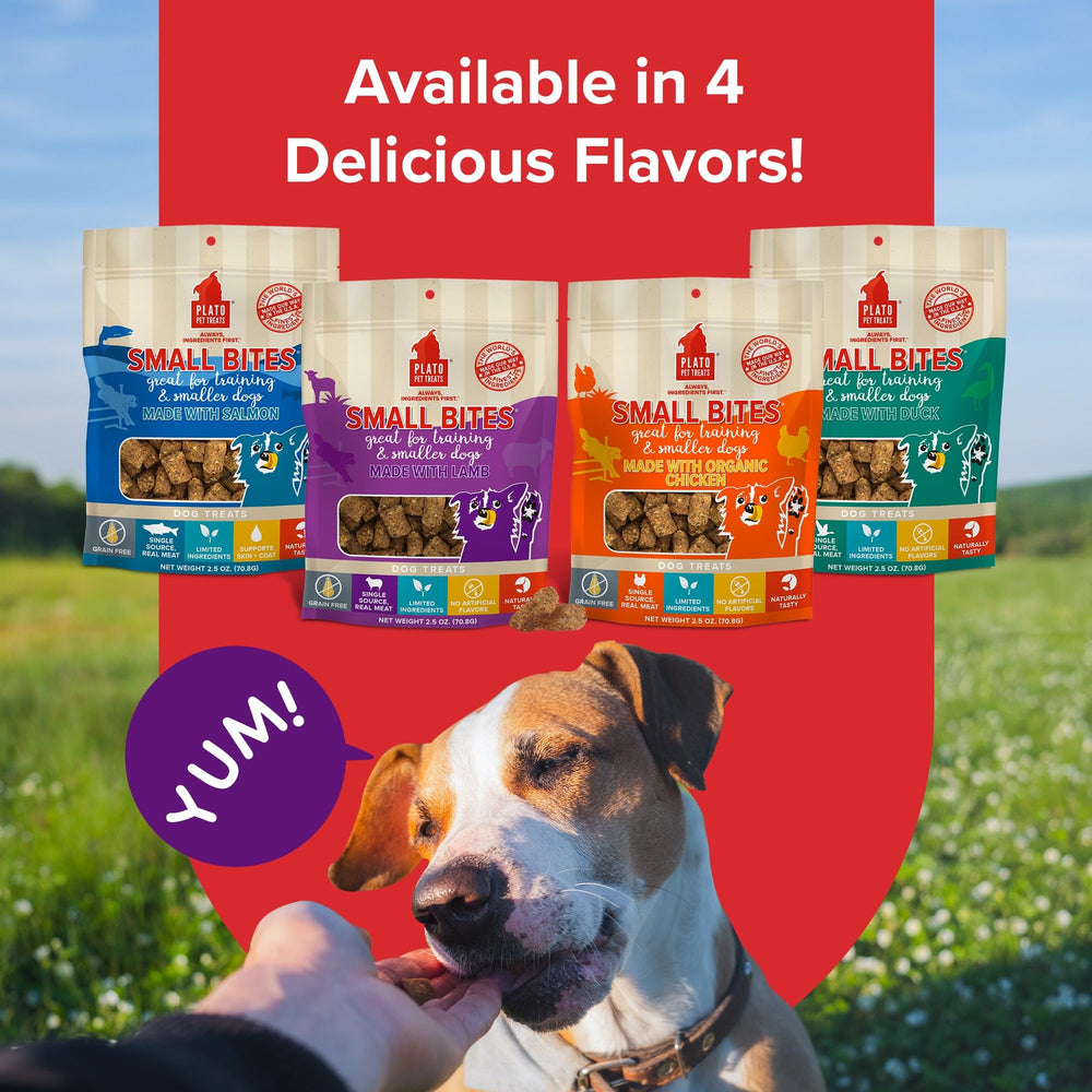 PLATO texture moelleuse, bouchées faciles à digérer, idéal pour chiens sensibles
