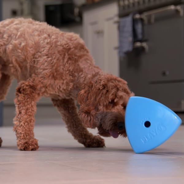Play 9 Roolo, recommandé par vétérinaires et éducateurs canins.
