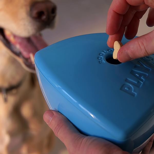 Play 9 Roolo, enrichissement mental pour chiens éveillés et calmes.