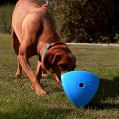 Play 9 Roolo, mouvement irrégulier, encourage l'exploration et l'adaptation.