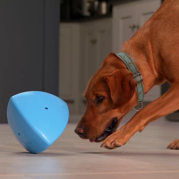 Play 9 Roolo, convient à toutes les tailles de chiens.