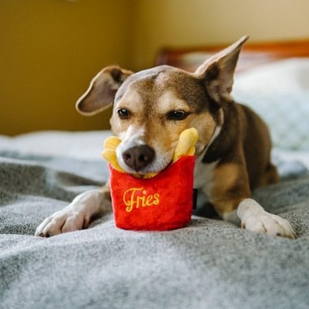Parfait pour chiens de tous âges et tailles, jouet frites américaines classiques XS.
