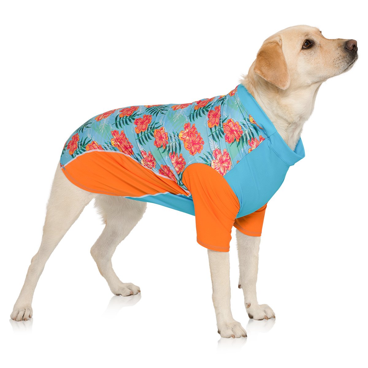 PlayaPup Sun Shirt à l'eau, tissu rapide à sécher après baignade.