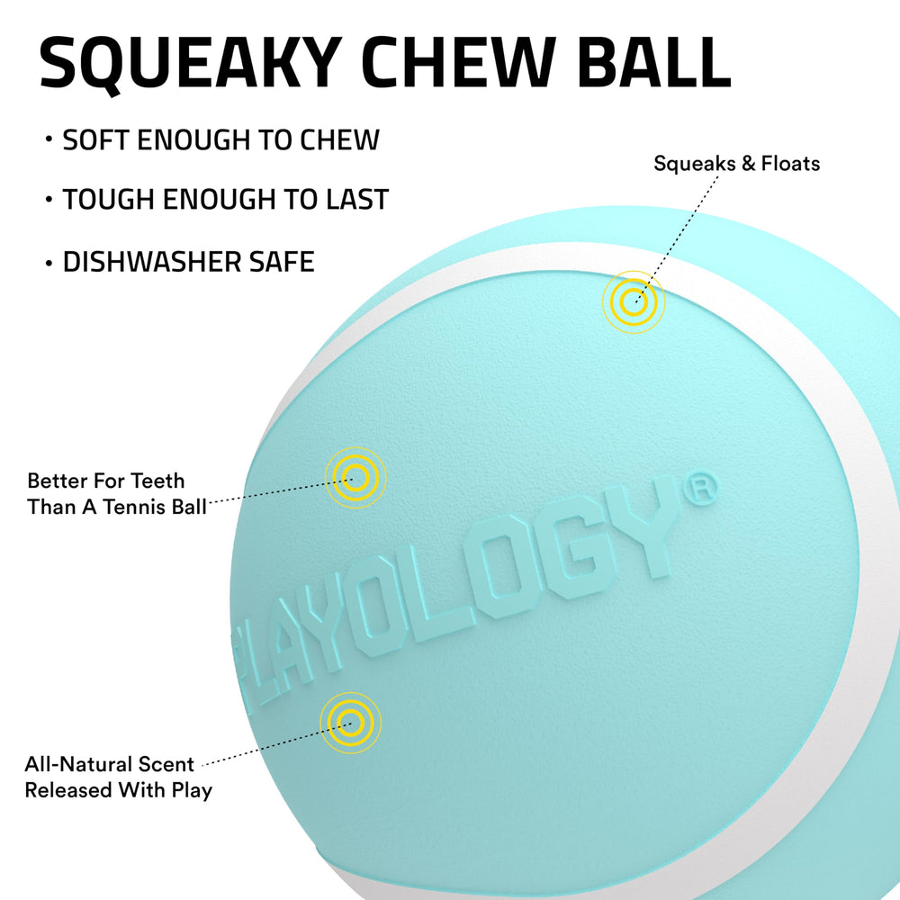 Playology Balle au parfum beurre de cacahuète attire l'attention du chien.