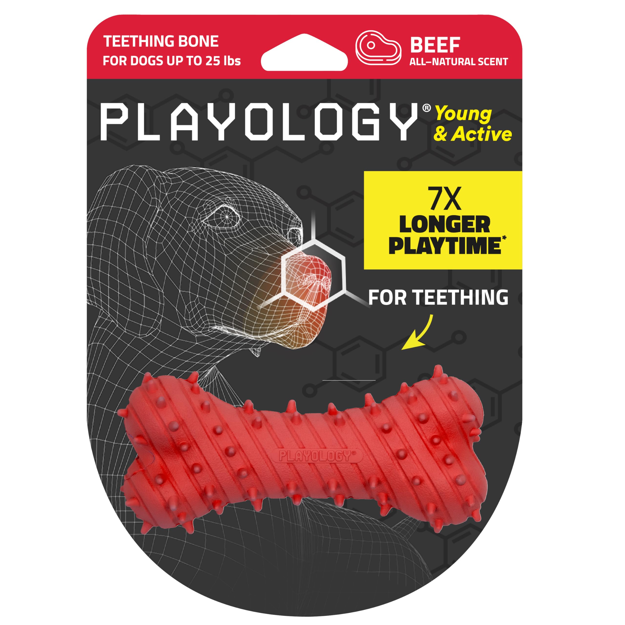 Playology os dentition petit : stimule la dentition des chiots jusqu’à environ 11 kg.