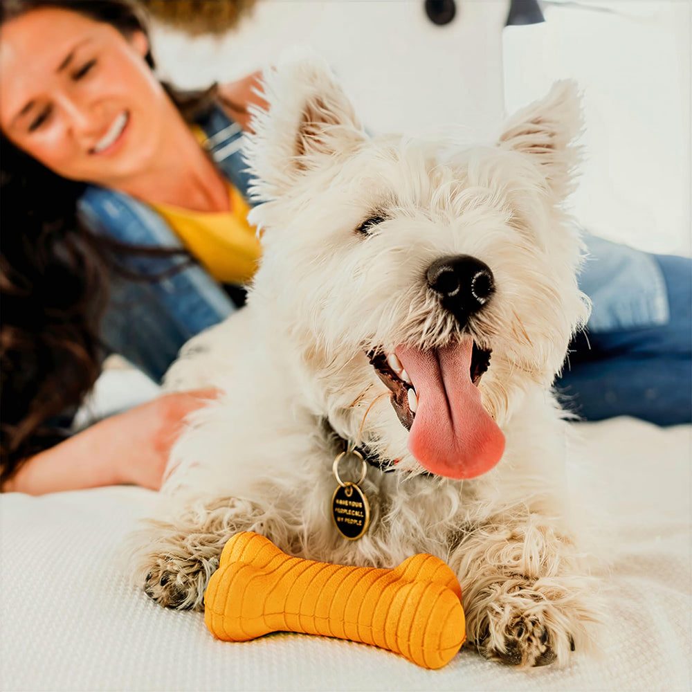 Jouet Playology pour chien moyen, plan rapproché, robuste et sûr.