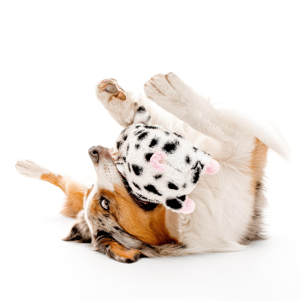Playology parfum naturel saucisse: arôme durable pour l'attention du chien.
