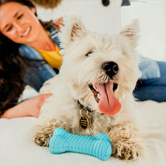 Playology Senteur naturelle encapsulée, longue durée, maintient l'intérêt du chien.