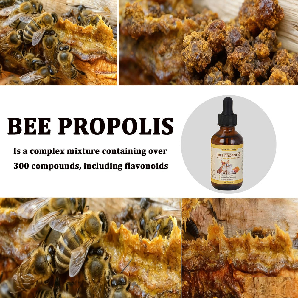 Pleasantly Warm Propolis, soutien immunitaire naturel via flavonoïdes.