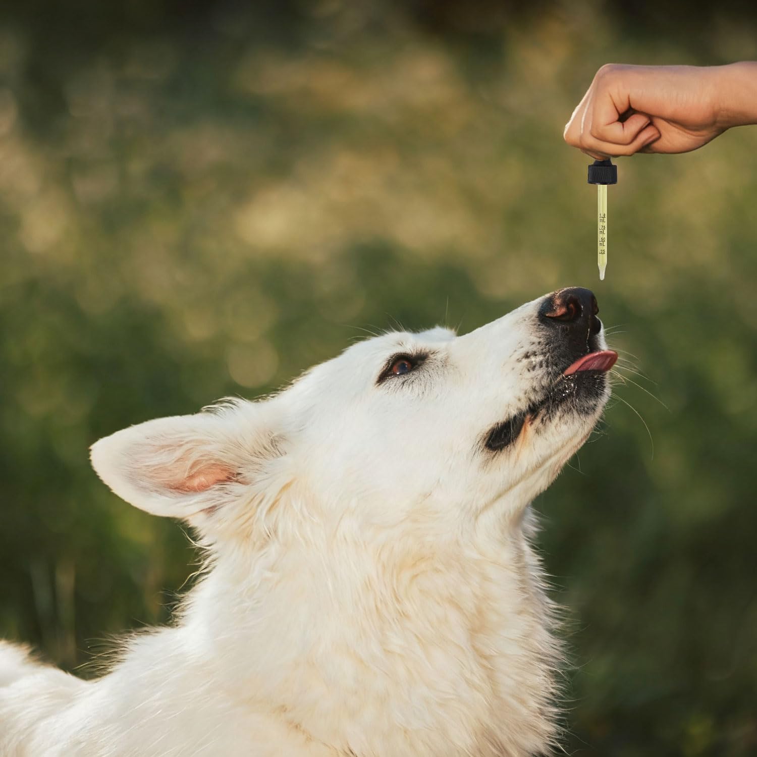 Pleasantly Warm Propolis, goût naturel apprécié par les animaux.