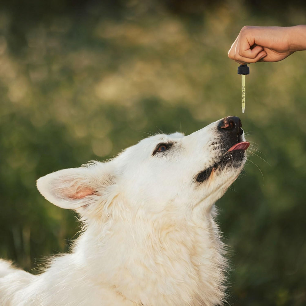 Pleasantly Warm Propolis, goût naturel apprécié par les animaux.