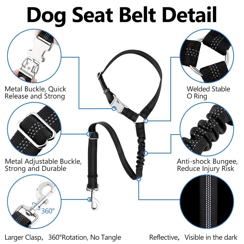 PLUTUS PET boucle métallique rapide assure une fixation fiable