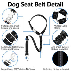 PLUTUS PET boucle métallique rapide assure une fixation fiable