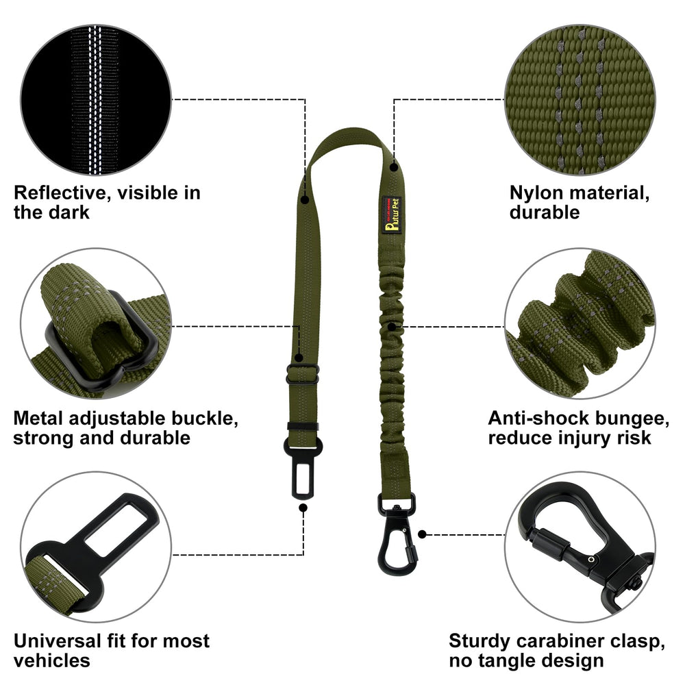 Ceinture PLUTUS PET réglable offrant un ajustement personnalisé pour chien.