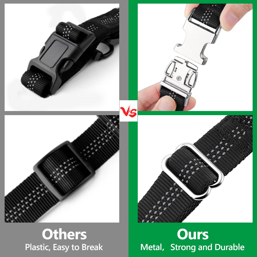 PLUTUS PET coutures réfléchissantes augmentant la visibilité nocturne