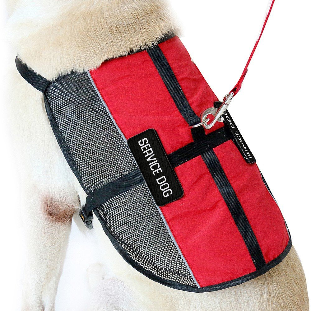 PLUTUS PET gilet service chien avec bandes réfléchissantes pour sécurité nocturne