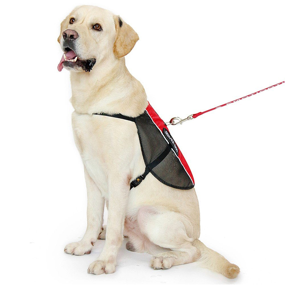 Gilet PLUTUS PET léger, idéal pour les journées chaudes et les activités extérieures
