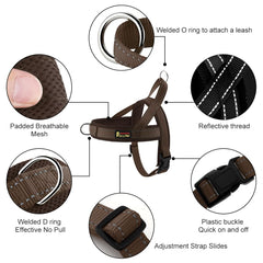 Harnais PLUTUS PET ajustable pour enfiler rapidement, pratique lors des sorties