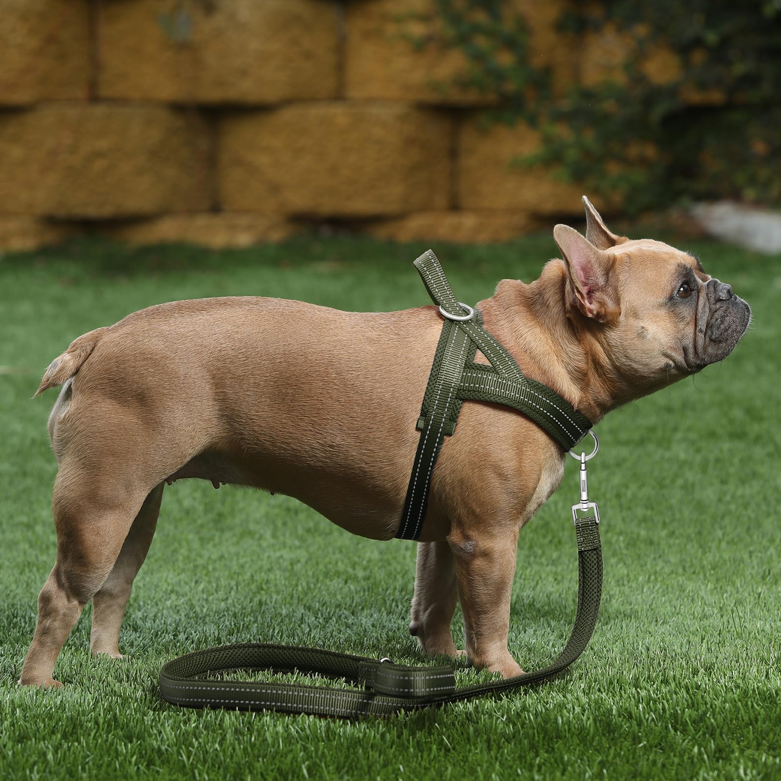 Anneau dorsal réfléchissant pour une visibilité accrue la nuit.