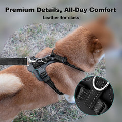 Harnais Plutus Pet anti-tirage arrière clip, promenades faciles.