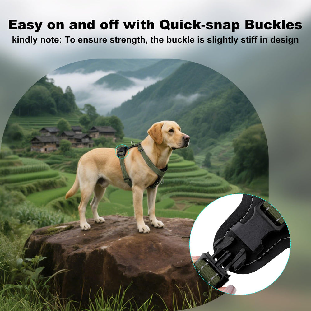 Harnais Plutus Pet boucles rapides, mise en place rapide et pratique.