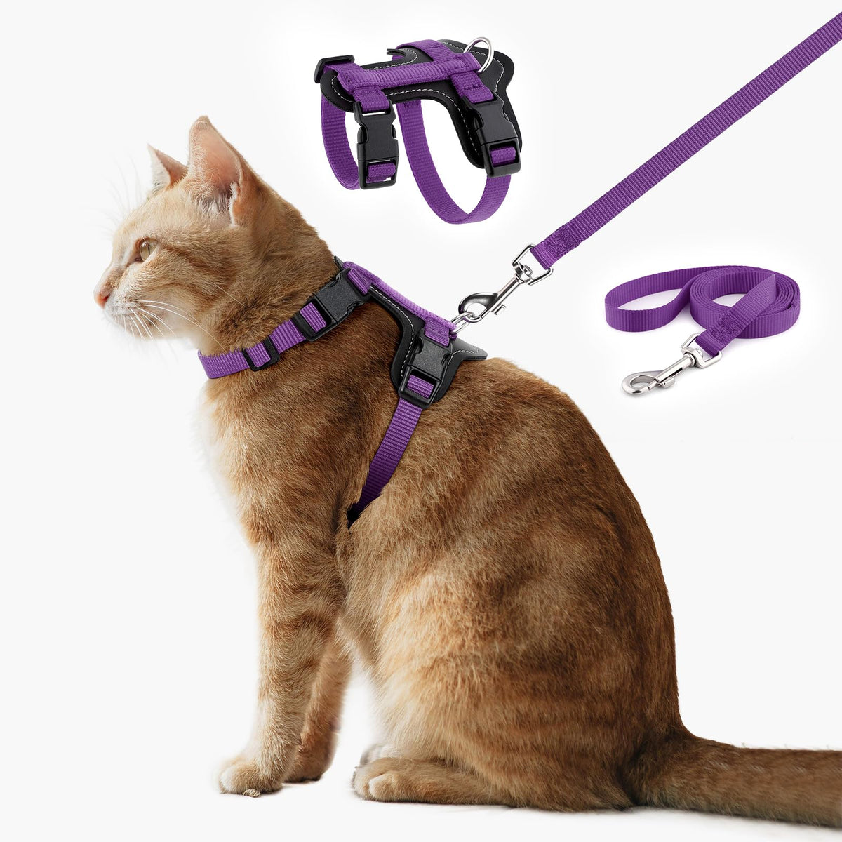 HARNAIS PLUTUS PET ajusté avec fermetures rapides pour chats.