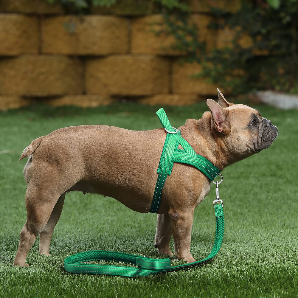 Harnais Plutus Pet rembourrage en maille pour ventilation et douceur.