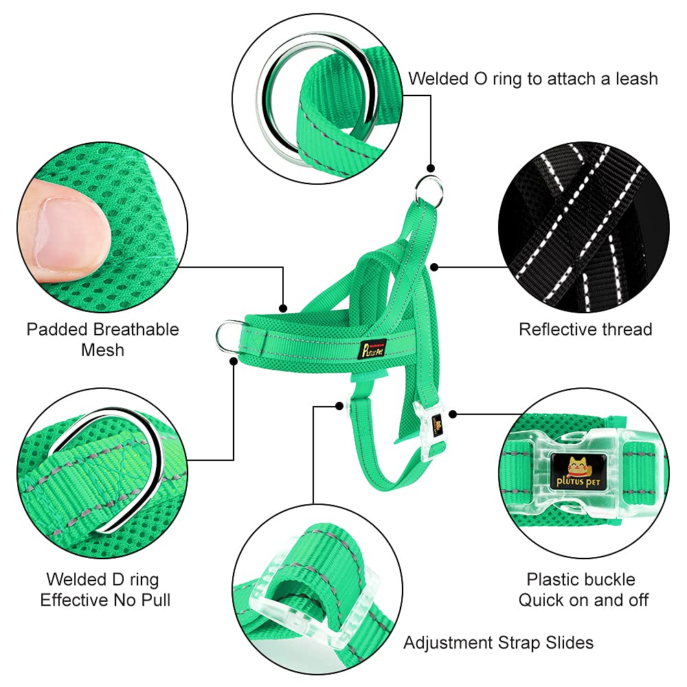Harnais Plutus Pet ajustable et enfilage rapide pour les promenades.