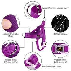 Harnais Plutus Pet enfilage rapide violet, facile à mettre et retirer.