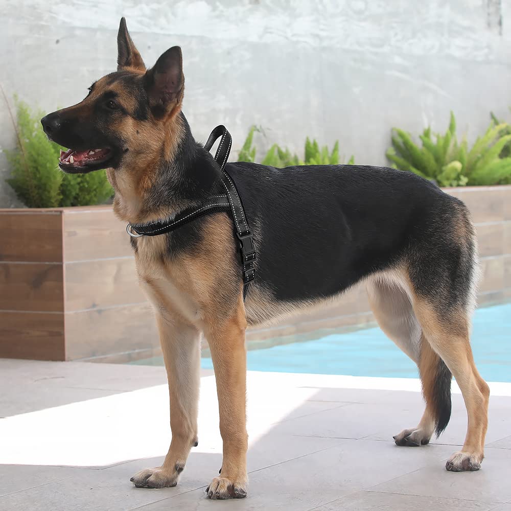 Harnais Plutus Pet enfilage rapide pour une mise en place facile.