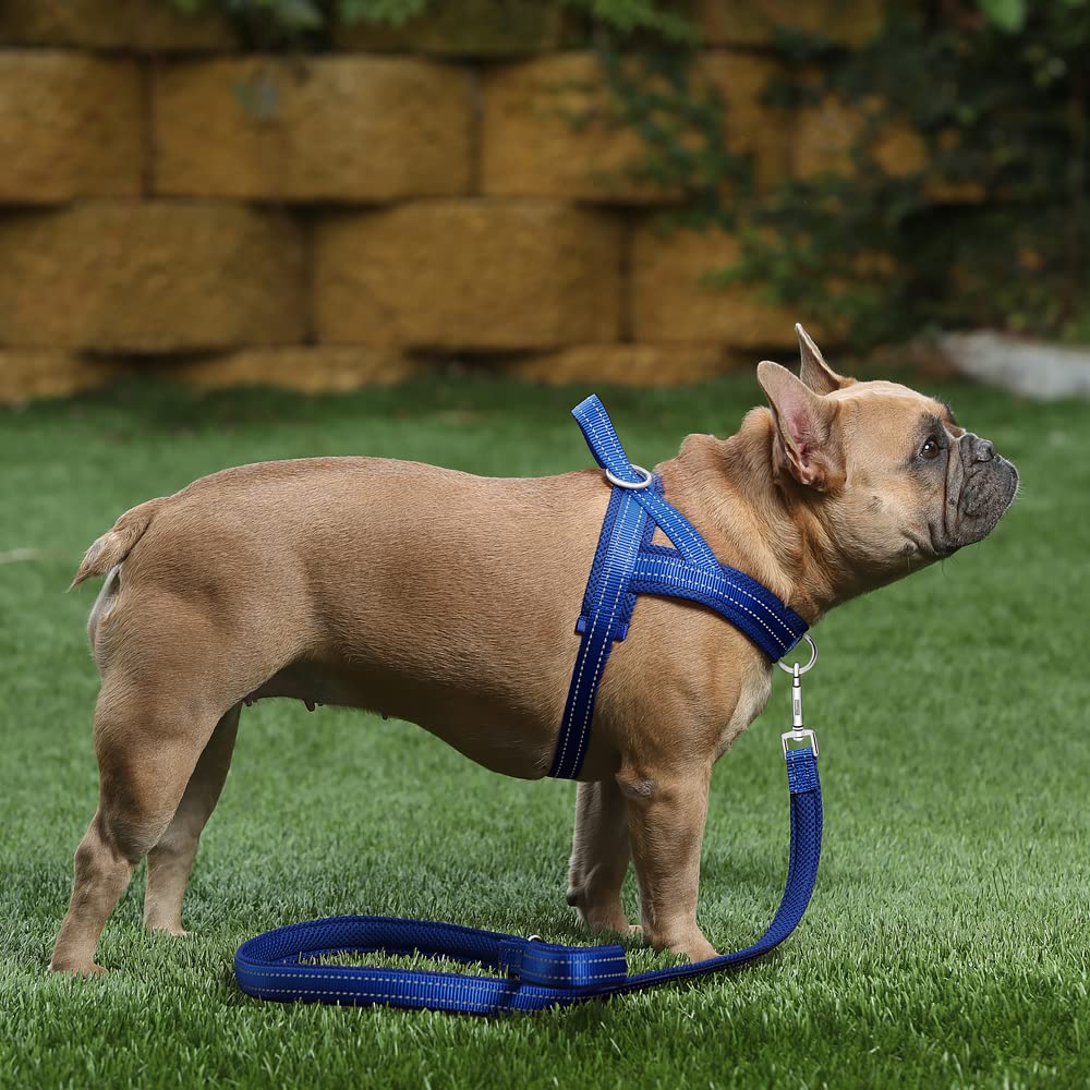 PLUTUS PET enfilage rapide grâce à une unique fermeture
