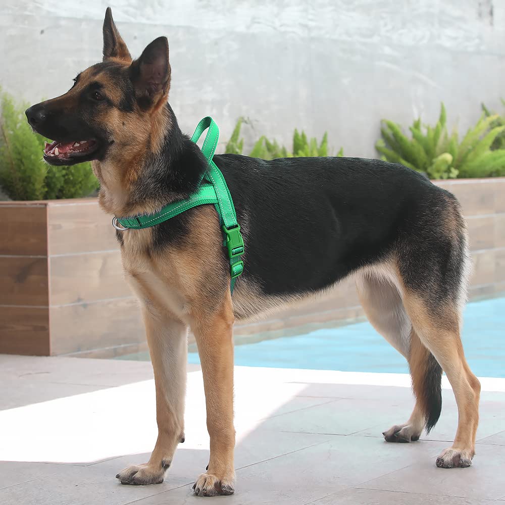 Harnais Plutus Pet rembourré en mesh pour le confort pendant l'activité.