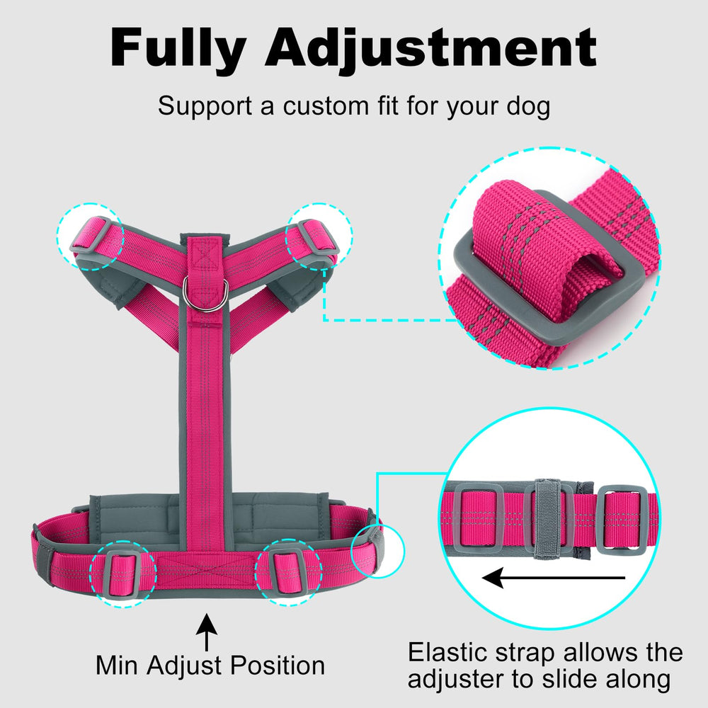 Harnais Plutus Pet nylon durable pour activités quotidiennes et aventures.