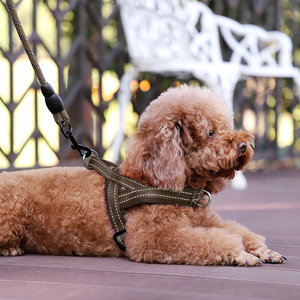 Nylon robuste PLUTUS PET garantit durabilité et utilisation quotidienne