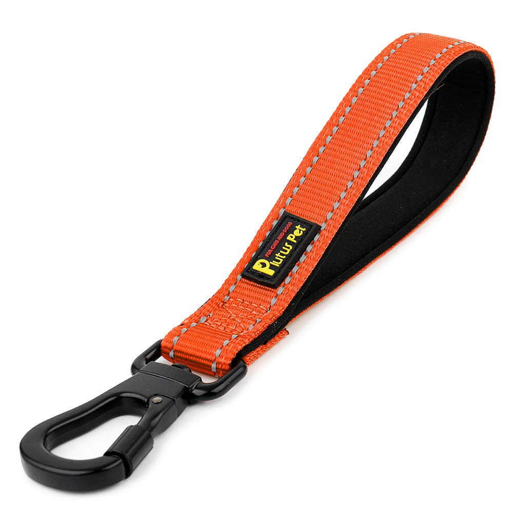 PLUTUS PET Laise chien 10 pouces réfléchissante avec poignee neoprene pour sécurité nocturne.