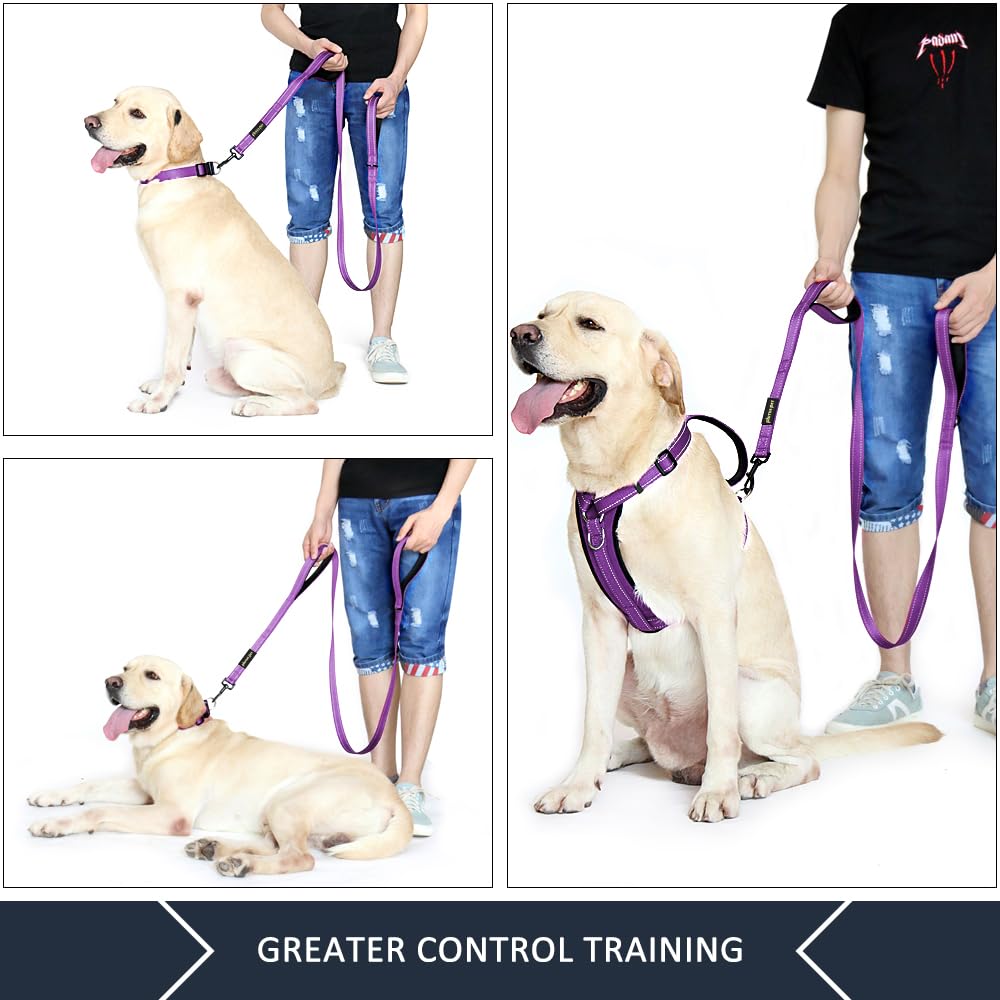 Laisse Plutus Pet poignee neoprene offre un confort durable.