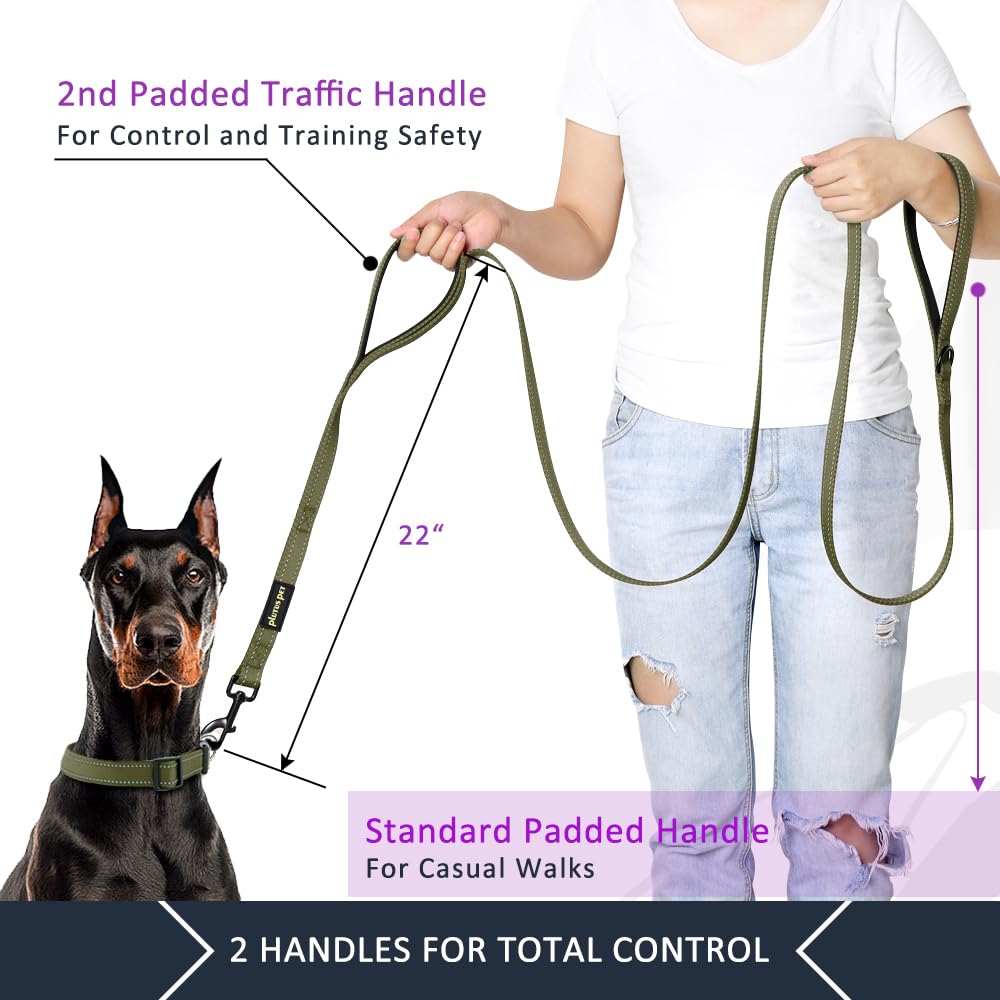 Longe PLUTUS PET avec attache grande pour collier ou harnais