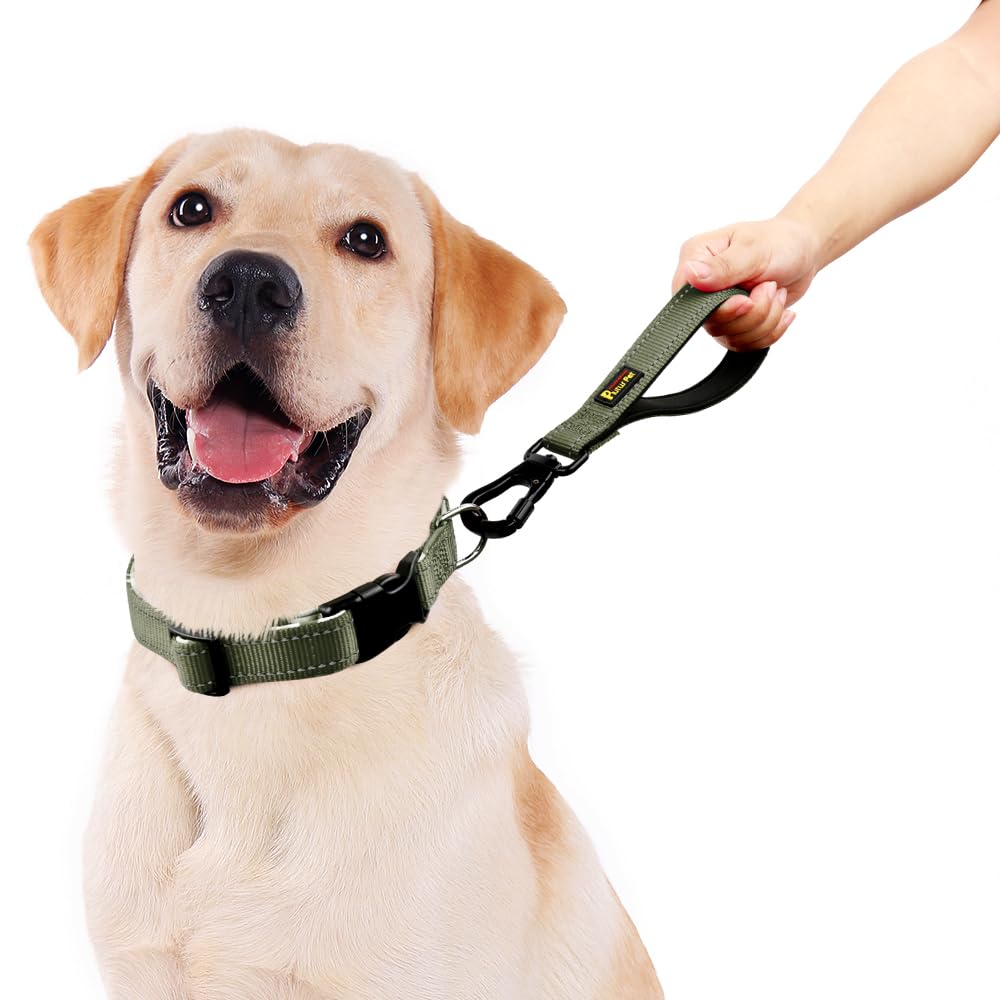 PLUTUS PET Longe Courte montrant le mousqueton auto-verrouillable pour sécurité.