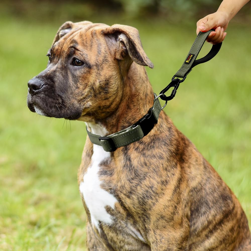PLUTUS PET Longe Courte usage urbain et parcs pour chiens moyens et grands.