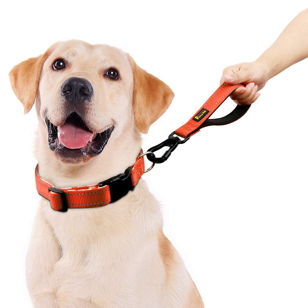 PLUTUS PET Mousqueton sécurité auto verrouillable pour un maintien fiable lors des promenades.