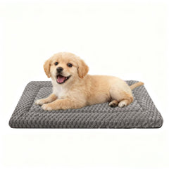 Coussin Pobopobo pour caisse: double-face douceur pour tout temps.